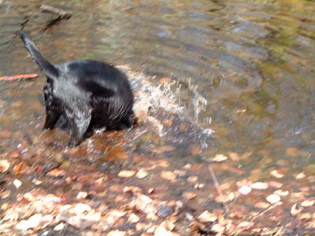 2003_0421_120158AA